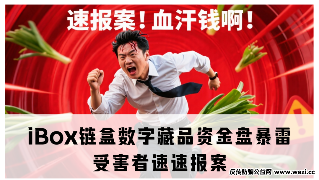 震哥独家起底：iBox链字盒数藏品资金盘暴雷！受害者速速报案，别让骗子逍遥法外！​