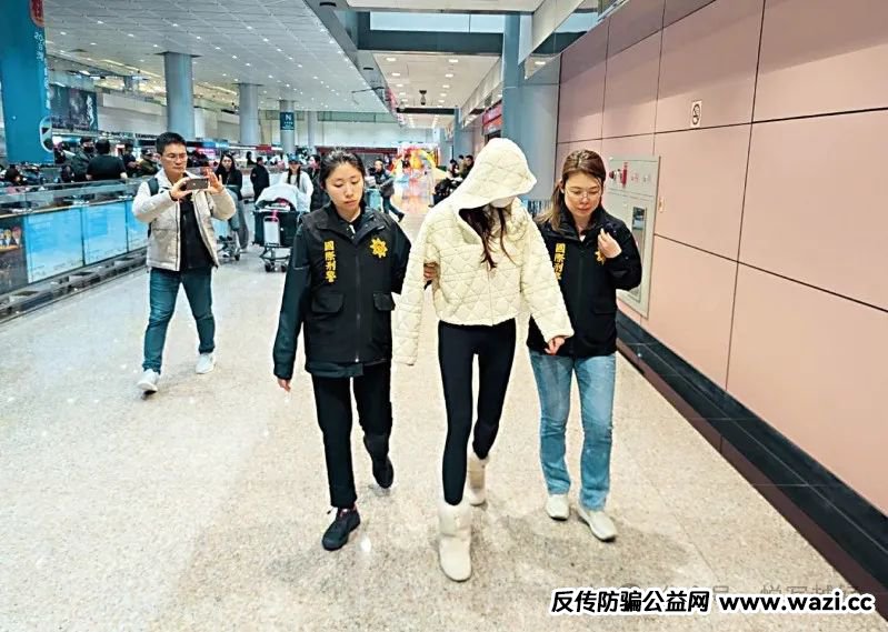 旧事文摘：台湾“杀猪盘”狂骗美国老人，金额逾亿美元受害者数以百计