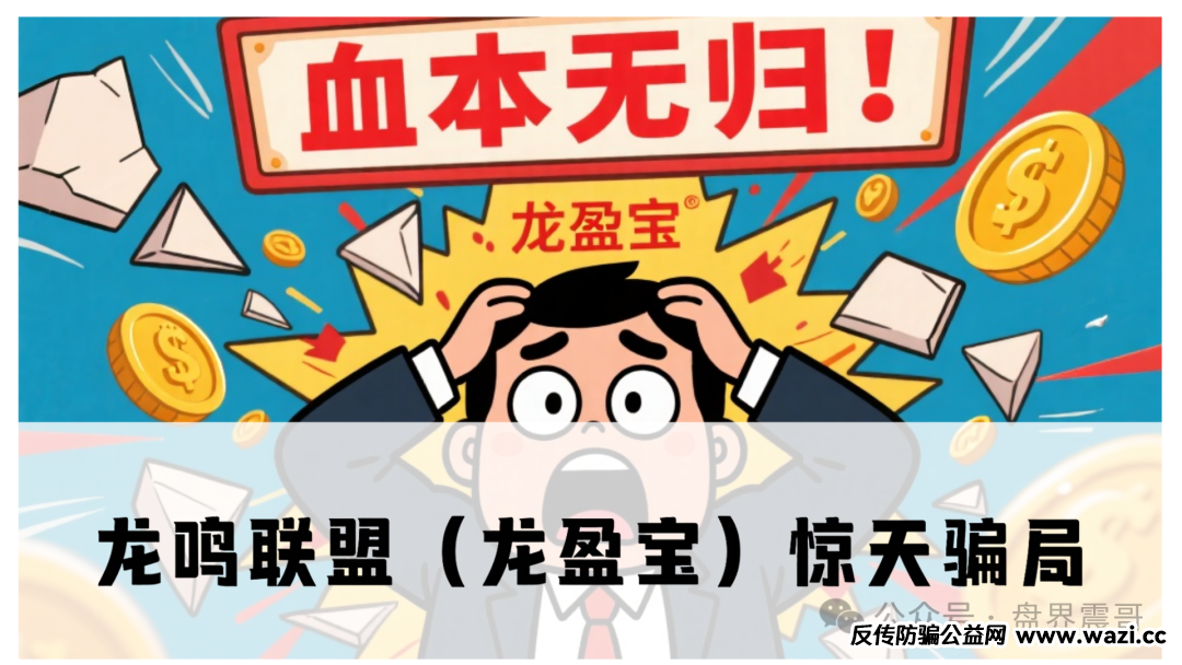 龙鸣联盟（龙盈宝）惊天骗局！震哥带你扒光操盘手的套路，再不跑就来不及了！