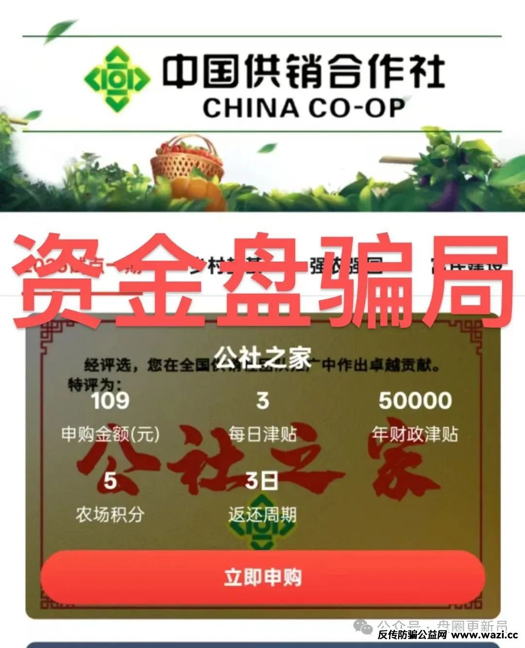 曝光‼️最新崩盘跑路跟已经跑路的资金盘骗局。【中国供销合作社，西南军工】