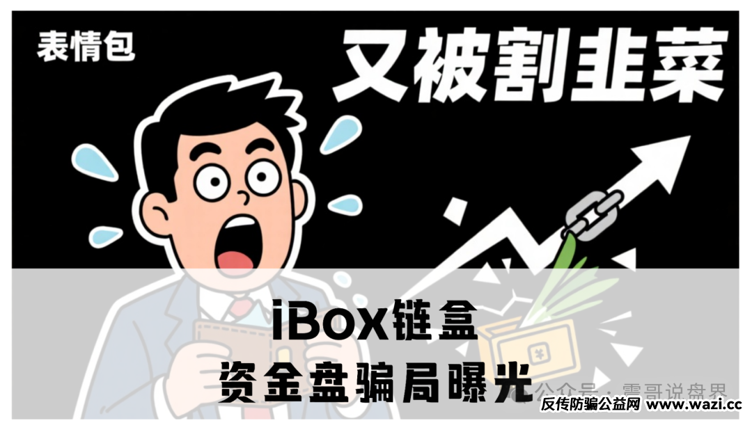 【iBox链盒】收割史:AI画饼 + 老鼠仓洗劫,学生党网贷接盘血本无归!