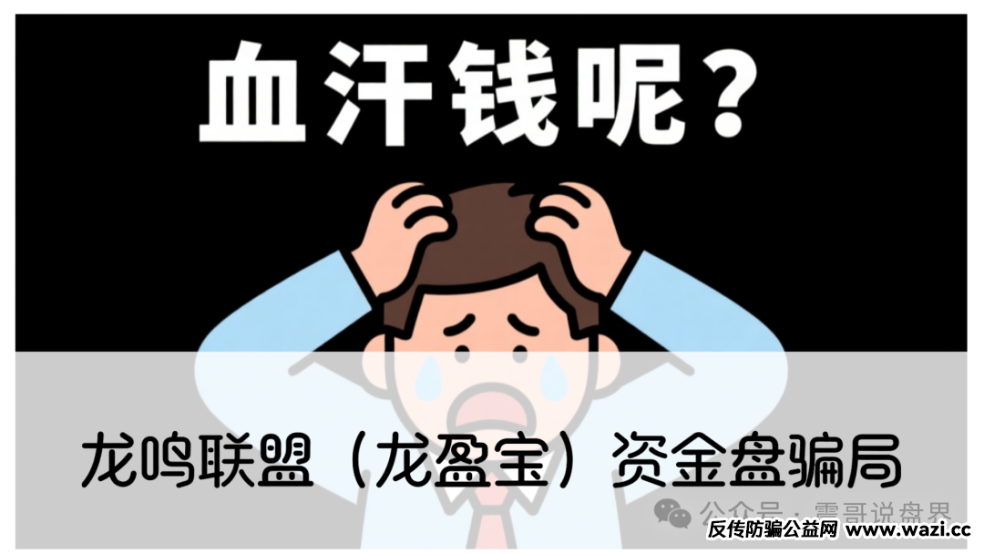 龙鸣联盟（龙盈宝）资金盘骗局，高度预警，别被收割！