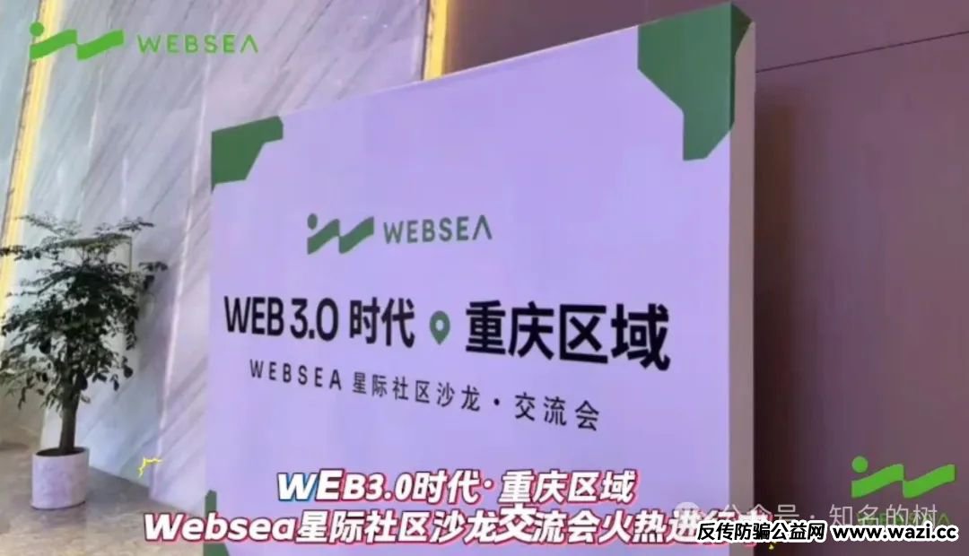 别再被蒙在鼓里！Websea资金盘真相全揭秘！
