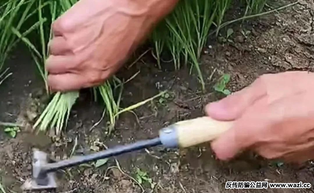 【原田易购】表面是商城电商平台,实则是互助骗局警惕!