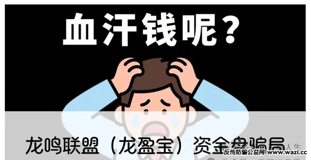 紧急预警!龙盈宝玩 "消除泡沫" 套路,这是要卷钱跑路的信号!