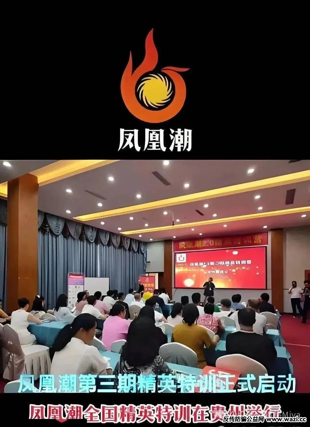 警惕！凤凰潮（国海数商）传销式资金盘骗局！