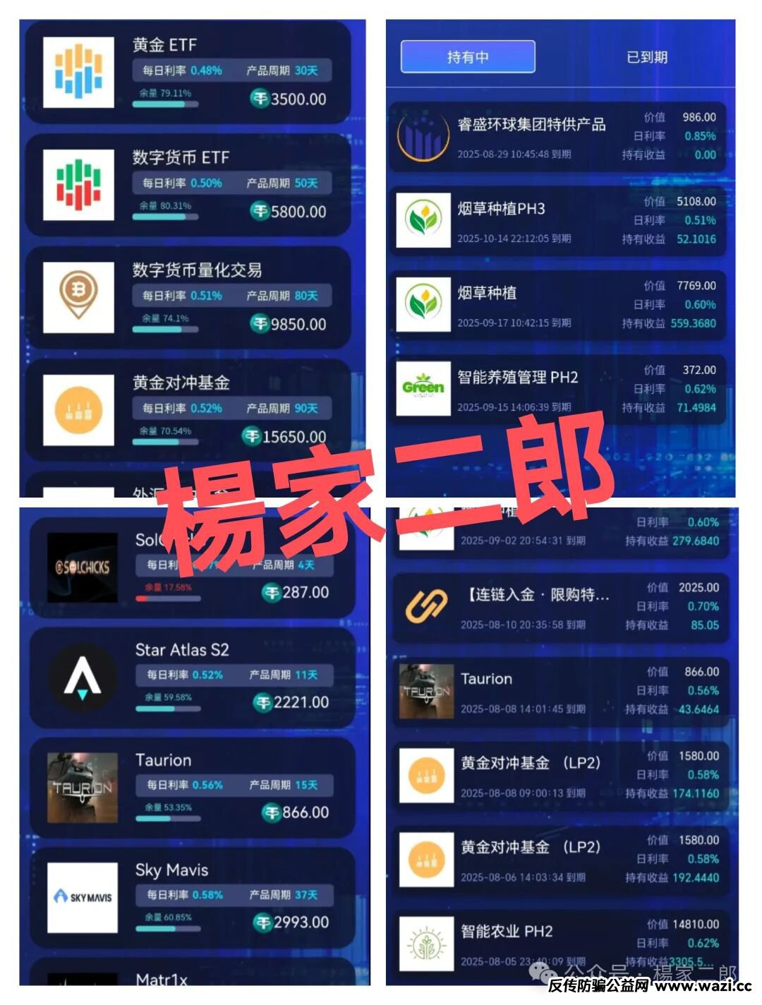高度风险预警:睿盛环球集团Golden Link(博瑞通)已大量单割,下一个被割的会不