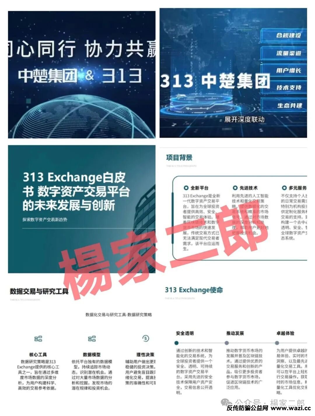资金盘骗局【中楚集团313交易所】已拔网线彻底凉凉！