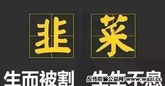 10月底最新整理8个崩盘跑路【启明创投，全球供应链，超脑智算，方舟之境，永恒协议，博发传媒】